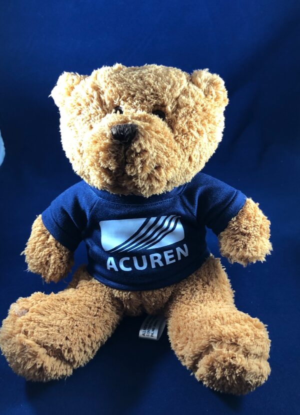 Stuffed Bear